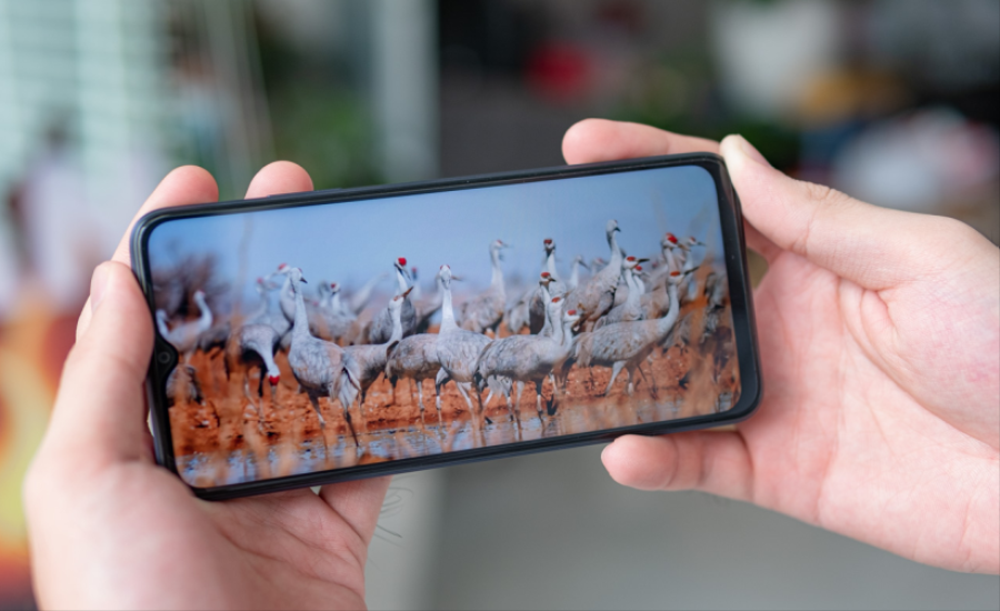 Thay màn hình Oppo A17K 3 96.2 cach bao ve man hinh oppo a17k truoc va sau khi thay 1